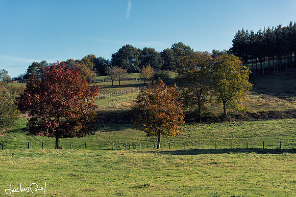 Otoño en Oñate
