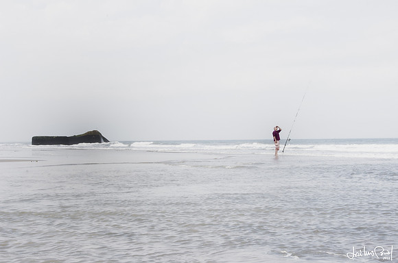 Watching birds is best left to the fishers