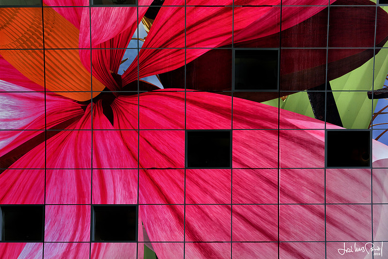 Colorful geometries: a stake on formalism