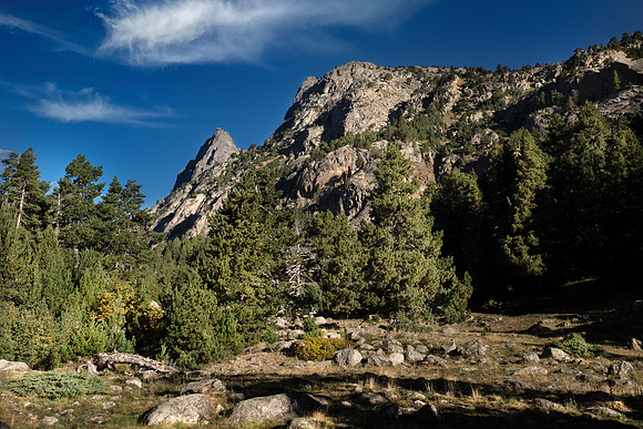 Pirineos en 35 mm: Bosque bajo de Remuñe